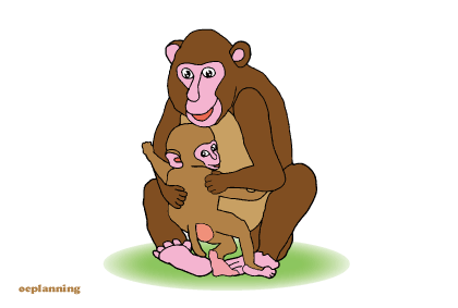 申のイラスト年賀状テンプレート