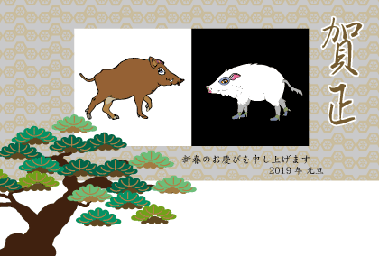 亥年の猪イノシシのイラスト年賀状テンプレート